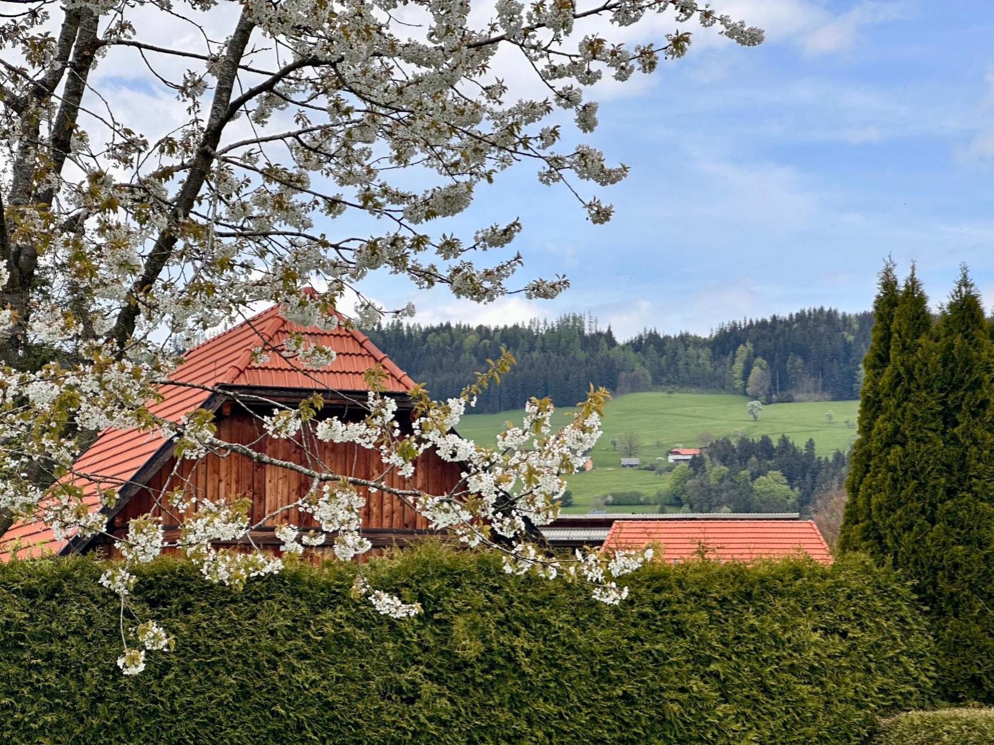 Viechtwang Romantic Chalet - Alpine Getaway Salzkammergut מראה חיצוני תמונה